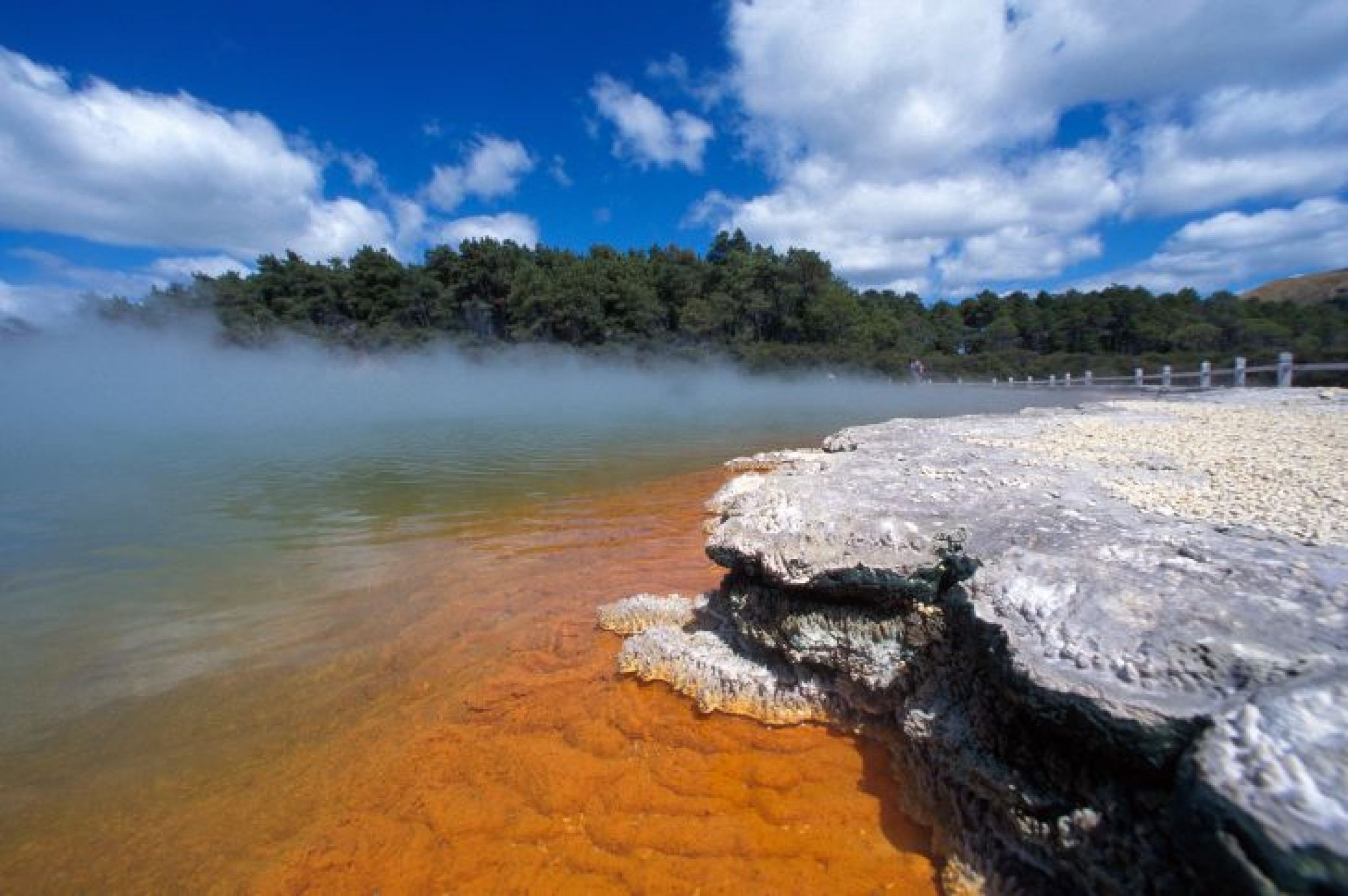 NZ Roto Waim ShampPool3 2