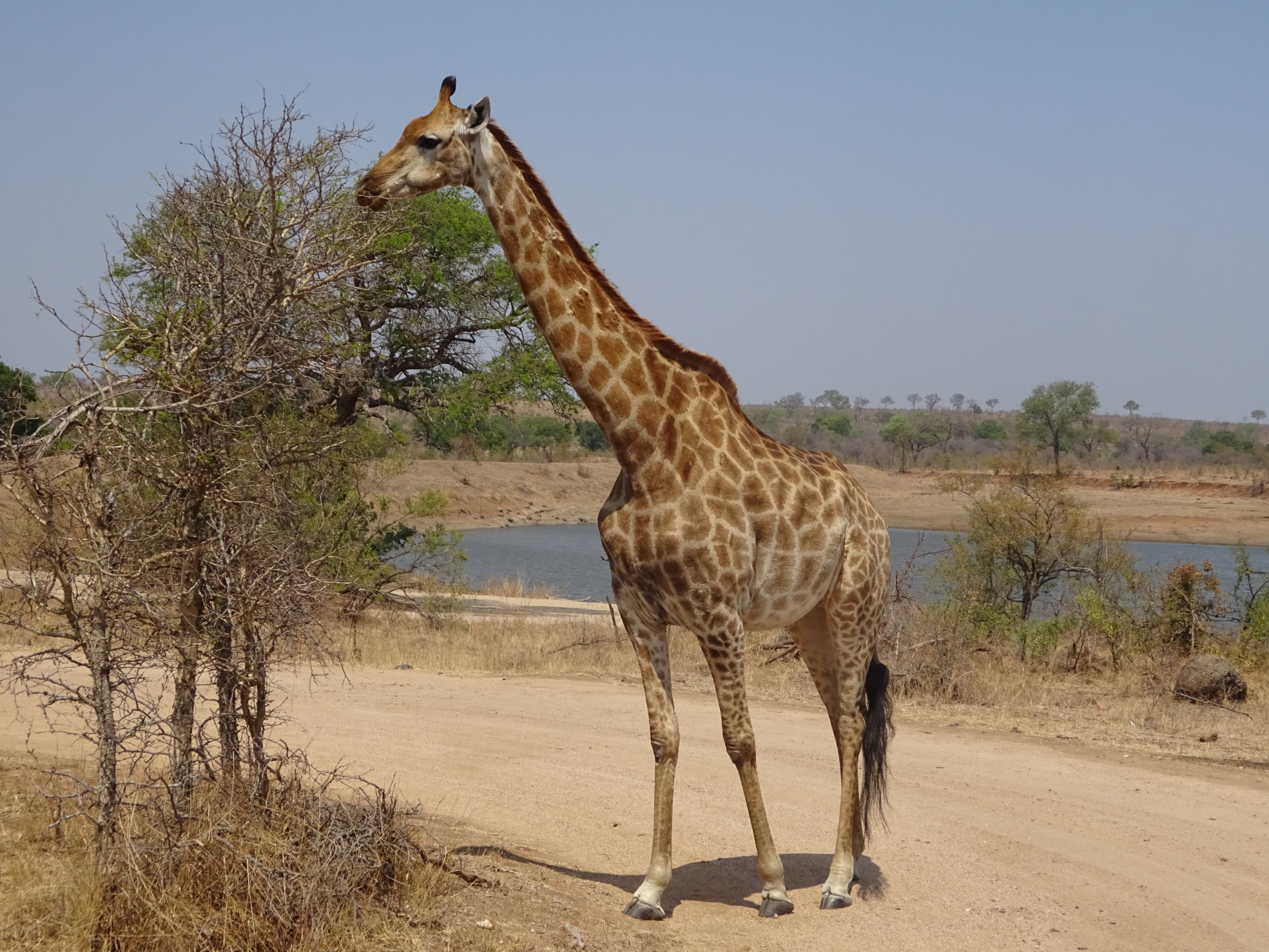Südafrika 2019 153