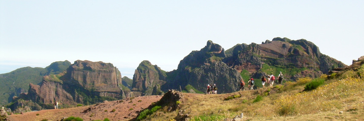 por madeira wanderer 1