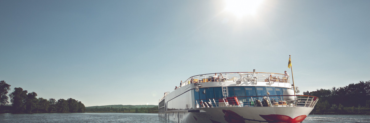 RH SCHIFF STELLA