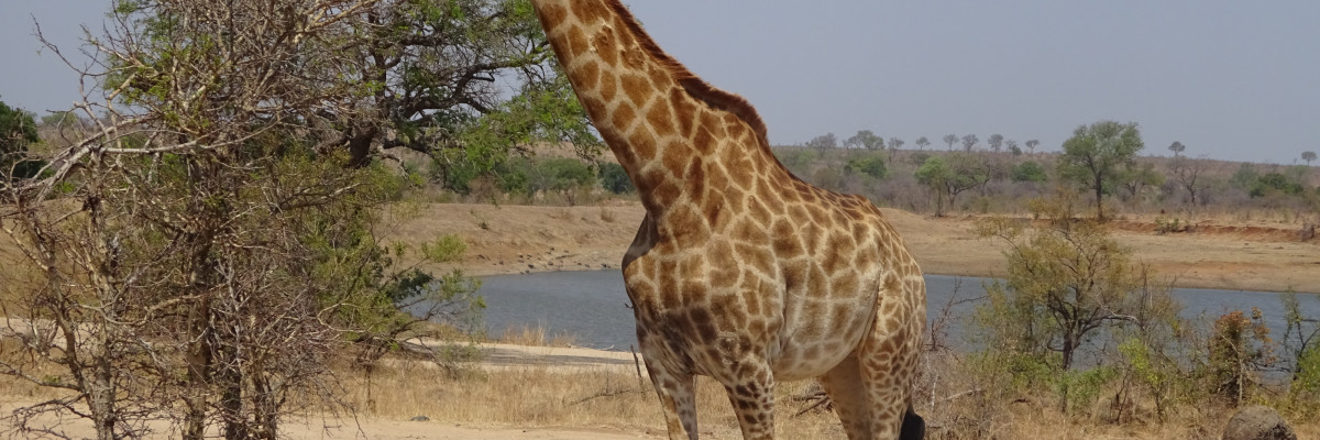 Südafrika 2019 153